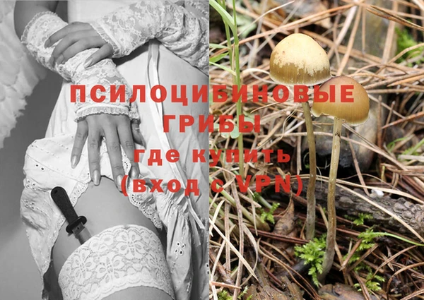 МДПВ Алзамай